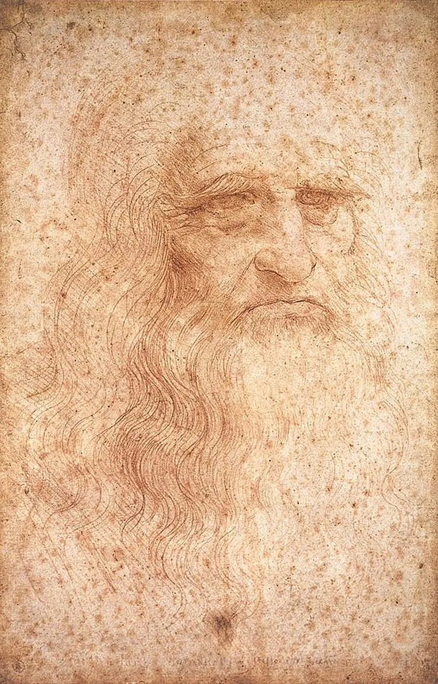Presumed self-portrait in red chalk