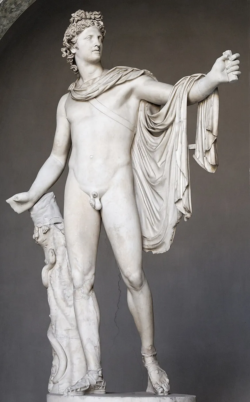 The Apollo Belvedere